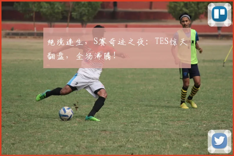绝境逢生，S赛奇迹之夜：TES惊天翻盘，全场沸腾！